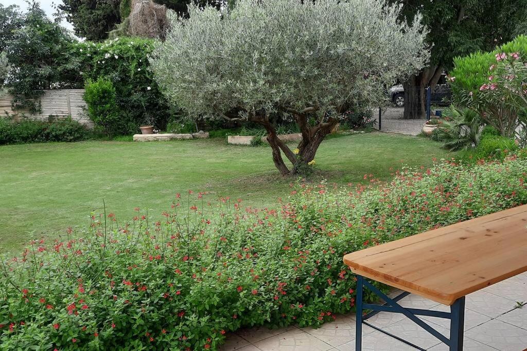 Villa L'Estel En Campagne Avec Piscine Privee Proche Arles Et Avignon Tarascon Bagian luar foto